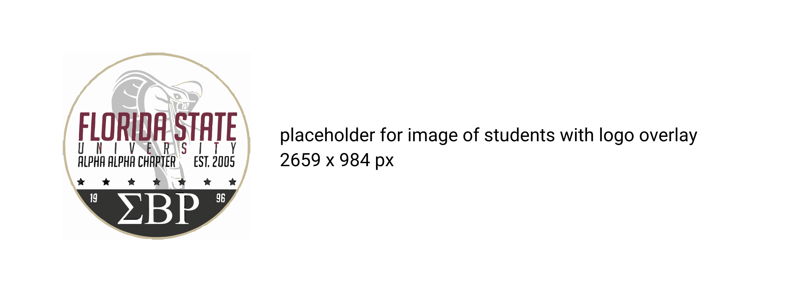 placeholder banner